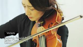 Roderich Paesold PA804J ローデリッヒ・ペゾルト Italian Custom バイオリン紹介【Violinist：牧山純子】 [upl. by Ahsahtan]