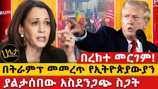 በትራምፕ መመረጥ የኢትዮጵያውያን ያልታሰበው አስደንጋጭ ስጋት  በረከተ መርገም  haletatv trump ebc [upl. by Ferrel201]