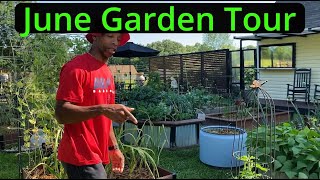 June Garden Tour garden gardening [upl. by Eisler377]