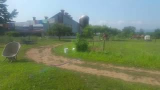 Amish Organic Farm near Watsontown PA [upl. by Bennink]