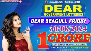 DEAR SEAGULL FRIDAY WEEKLY DEAR 8 PM ONWARDS DRAW DATE 30082024 NAGALAND STATE LOTTERIES [upl. by Mloclam207]