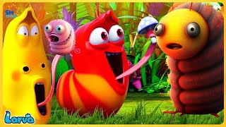 LARVA TUBA 2025  STRANGE FRIENDS  LARVA Full Episodes [upl. by Messing]