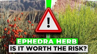 The Dangers Of The Herb EPHEDRA  Is It Worth The Risk [upl. by Redman]