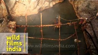 Surya Kund or hot water spring at Yamunotri  Uttarakhand [upl. by Laith]