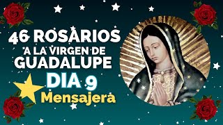 DIA 9 ⭐ESTRELLA MENSAJERA 🌹46 ROSARIOS A LA VIRGEN DE GUADALUPE [upl. by Ahsaeit]