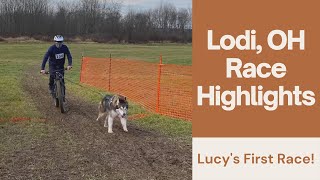 Trailbreakers Lodi OH Dryland Challenge Malamute Race Highlights 2020 [upl. by Ardenia659]