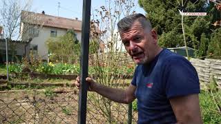 Einen Gartenzaun aufstellen mit Mark Kühler und Quikset Pro [upl. by Wini777]