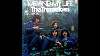 The Tremeloes  Me And My Life Germany 1970 Single [upl. by Odine530]