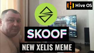 SKOOF SKF NEW MEME XELIS FORK Easy HIVEOS Mining Tutorial  Pool  Wallet [upl. by Lysander72]