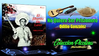 No Quiero Ser Prisionero  Odilio González  Música Picotera [upl. by Aihtnyc103]