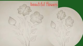 Beautiful flowers design drawing with pencil ✏️ [upl. by Albertson]