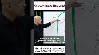 Glucokinase Enzyme shorts shortvideo drnajeeb [upl. by Anaiviv]