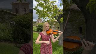 🎻 Concert call by Anastasiya 🎻  tuscany [upl. by Acsot]