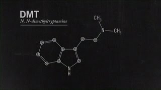 What Is DMT Joe Rogan [upl. by Ardnikat]