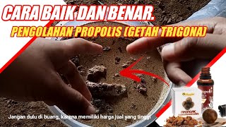 Cara Mengolah Propolis Trigona [upl. by Baler]