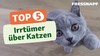 Top 5 Irrtümer über Katzen [upl. by Nosreg]