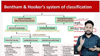 Bentham Hooker Classification l बेंथम और हुकर का वर्गीकरण l Angiosperms Classification l bentham [upl. by Arliene811]