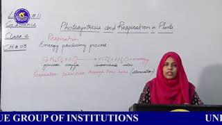 Online Lecture  11 Class  6 Book G Science [upl. by Flessel]