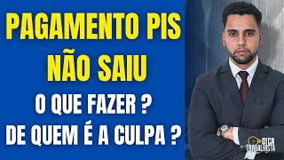 PAGAMENTO PIS NÃO SAIU  O QUE FAZER  DE QUEM É A CULPA [upl. by Omer659]