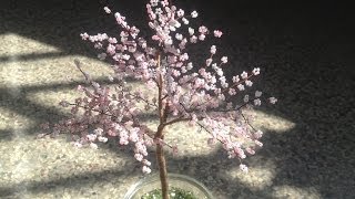 SAKURA Die japanische Kirschblüte TUTORIAL Bäume aus Perlen Annas Perlen [upl. by Amber]