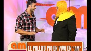 El Pollito Pío En Vivo  AM [upl. by Enirbas687]