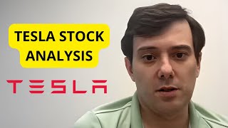 Martin Shkreli Analyse Tesla Stock  Deep Value Play [upl. by Oilicec]