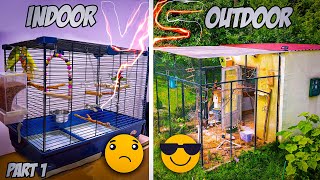 The Great Parakeet Debate Indoor vs Outdoor Care [upl. by Swithbart]