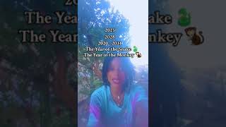 20202031 Year of the Monkey 2028 Year of the Snake 2025 [upl. by Edbert370]