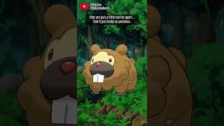 ✨ Bidoof ✨  and Bibarel I guess  pokemon review [upl. by Christi]