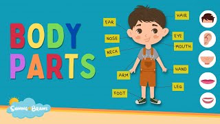 Learn Parts of Body Names  Body Parts Names for Kids  Human Body Parts  Kids English Vocabulary [upl. by Arikat]