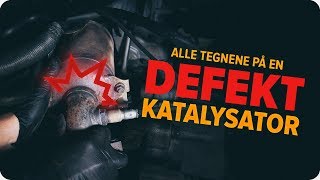 Slik sjekker du en katalysator  Tips fra AUTODOC [upl. by Htebazie]