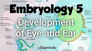 Embryology 5  Development of Eye and Ear [upl. by Eeryn604]