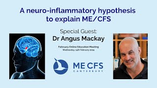 A Neuroinflammatory Model for MECFS a hypothesis [upl. by Lipkin]