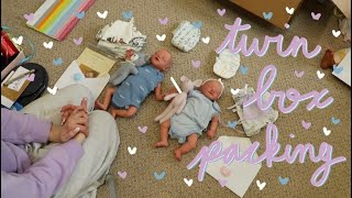 Custom Twin Reborn Babies Box Packing  Kelli Maple [upl. by Eenhat]