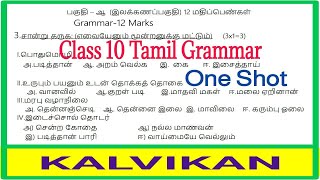 Class 10 Tamil Grammar One Shot  Sample Paper  Kalvikan [upl. by Attenat]