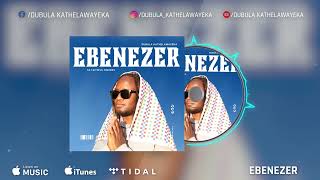 Dubula Kathelawayeka SA Faithful Singers  Ebenezer Official Visualizer [upl. by Tabatha]