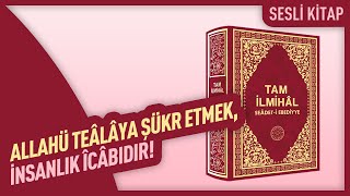 Allahü Teâlâya Şükr Etmek İnsanlık Îcâbıdır  Tam İlmihâl Seâdeti Ebediyye  Hakikât Kitâbevi [upl. by Ambrosio107]