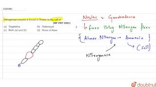 Nitrogenase enzyme is found in Nostoc in the cell of [upl. by Ahsieyk]