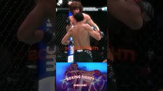 Shara Magomedov vs Armen Petrosyan TKO ufc ufc308 sharamagomedov short [upl. by Anrym]