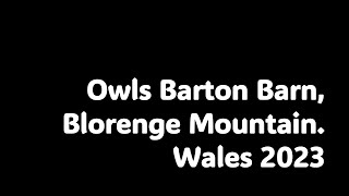 Owls Barton Barn Blorenge Mountain Wales 2023 [upl. by Nomsed797]