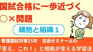 【看護師国家試験対策 正誤判定問題】細胞と組織Ⅰ｜人体の構造と機能 [upl. by Cayser]