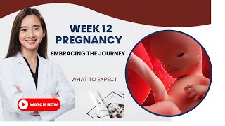 12 WEEKS PREGNANT  WHAT TO EXPECT [upl. by Menides]