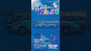 観光シーズン真っ只中🚌現場から届いた写真をお届けする久々の『おたより』コーナー📸 長い観光バスシーズン現場から届くおたよりも随時お届けします😊 お楽しみに🎶観光バス バスのある風景 [upl. by Idieh]