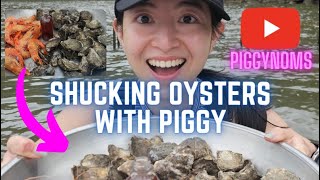 Shucking Oysters with Piggy at an Oyster Farm cookingwithpiggy [upl. by Nilyram475]