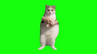 Cat Dancing to EDM  Green Screen [upl. by Refitsirhc]