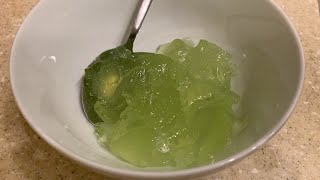 Harvesting and Key Lime Jello from Scratch Recipe in Description 💚 [upl. by Baniez610]