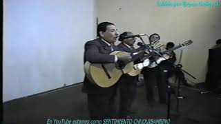 LOS ERRANTES DE CHUQUIBAMBA  PATITO En vivo 1994 [upl. by Ydnas]