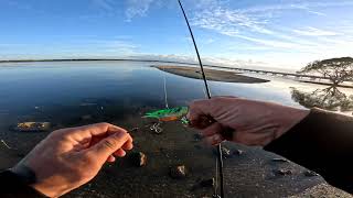 fishing Redcliffe qld [upl. by Nalad368]