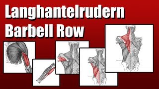 How 2 Langhantel Rudern Barbell Rows [upl. by Kcired641]