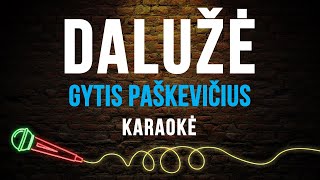 Gytis Paškevičius  Dalužė Karaoke [upl. by Roderica893]